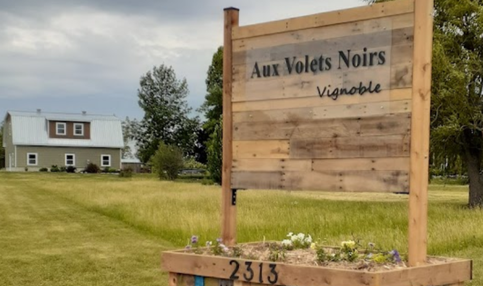 Automatic Detection of Incoming Cars in a Parking Lot