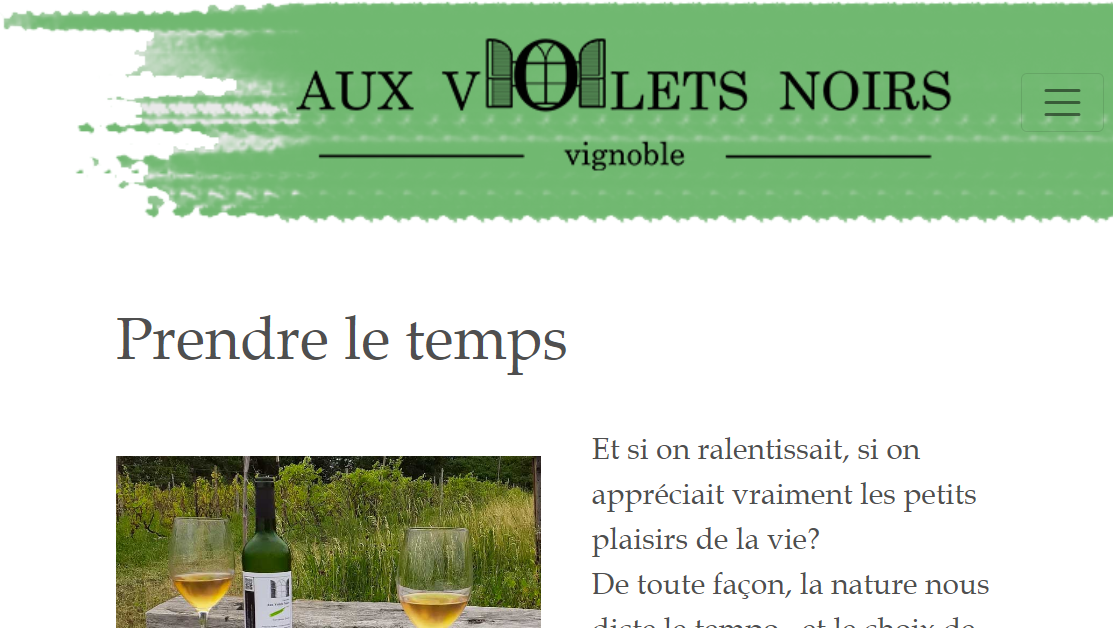 Design and Development of a Website in HTML5